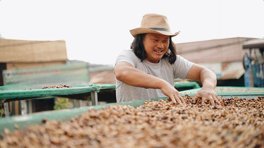 A Family Legacy: The Story of Farmer Ngọc and His Coffee Farm